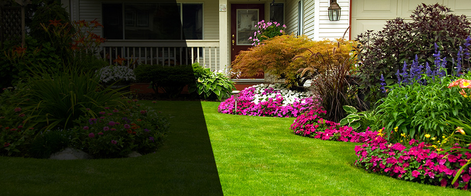 Dresden Landscapers