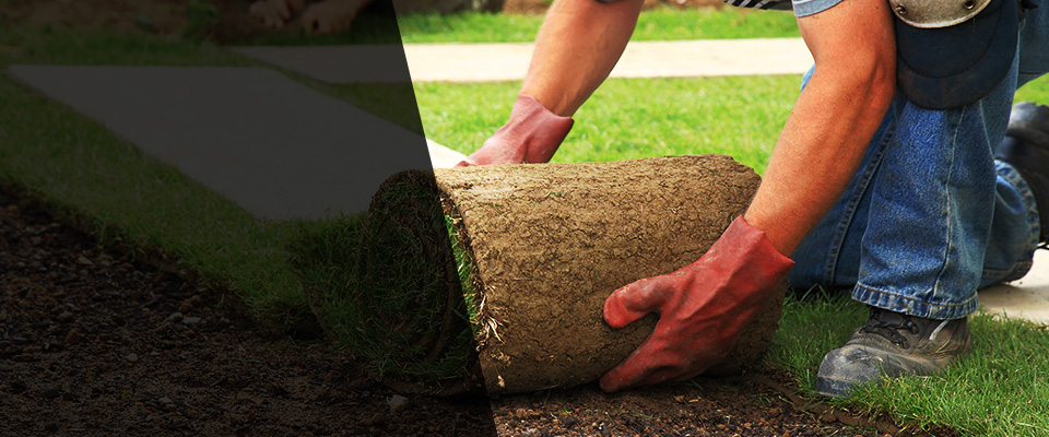 Dresden Landscapers